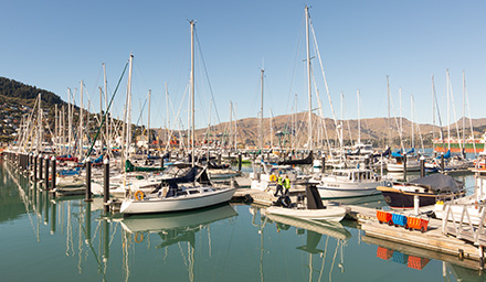 yachts and Customs officers at jetty