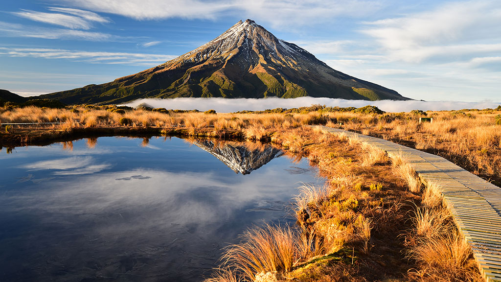 NZ Landscape (7)