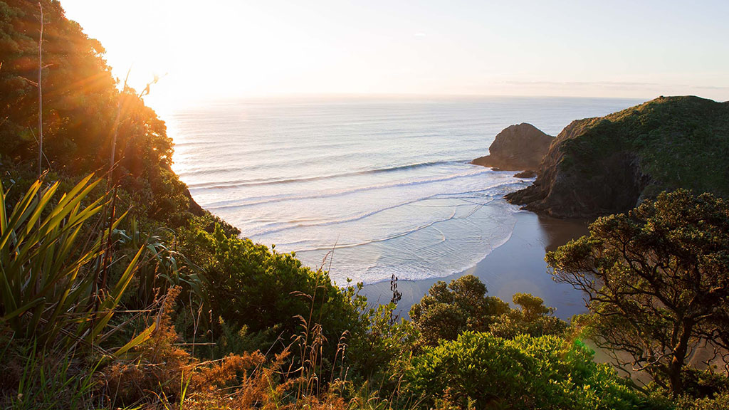 NZ Landscape (8)